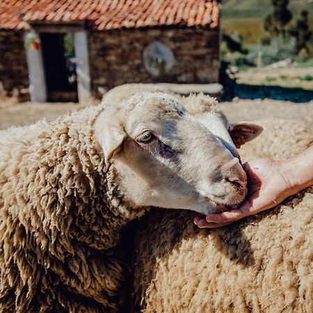 Quinta Dos Avos Lourenco Sertã Dış mekan fotoğraf