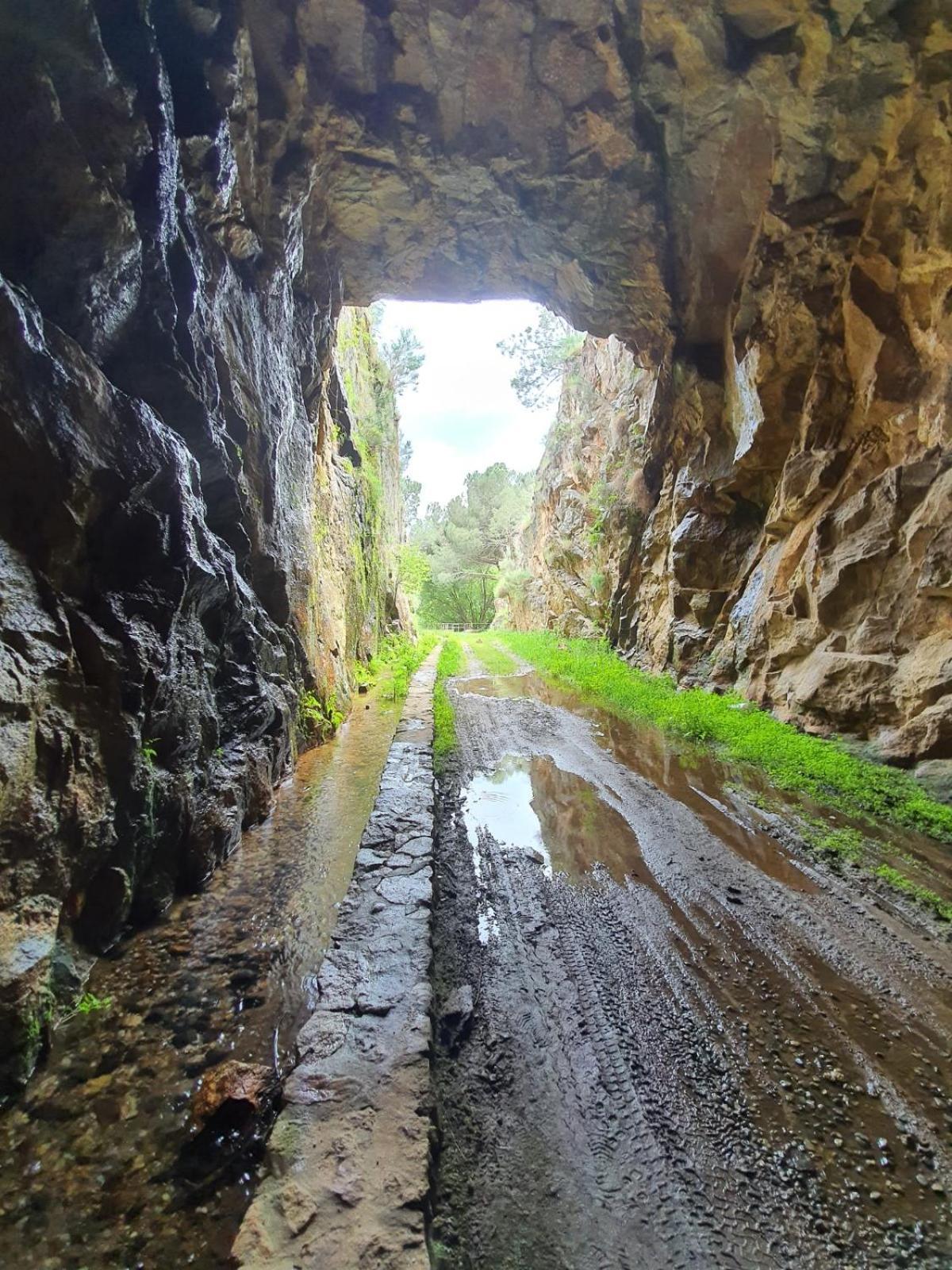 Quinta Dos Avos Lourenco Sertã Dış mekan fotoğraf