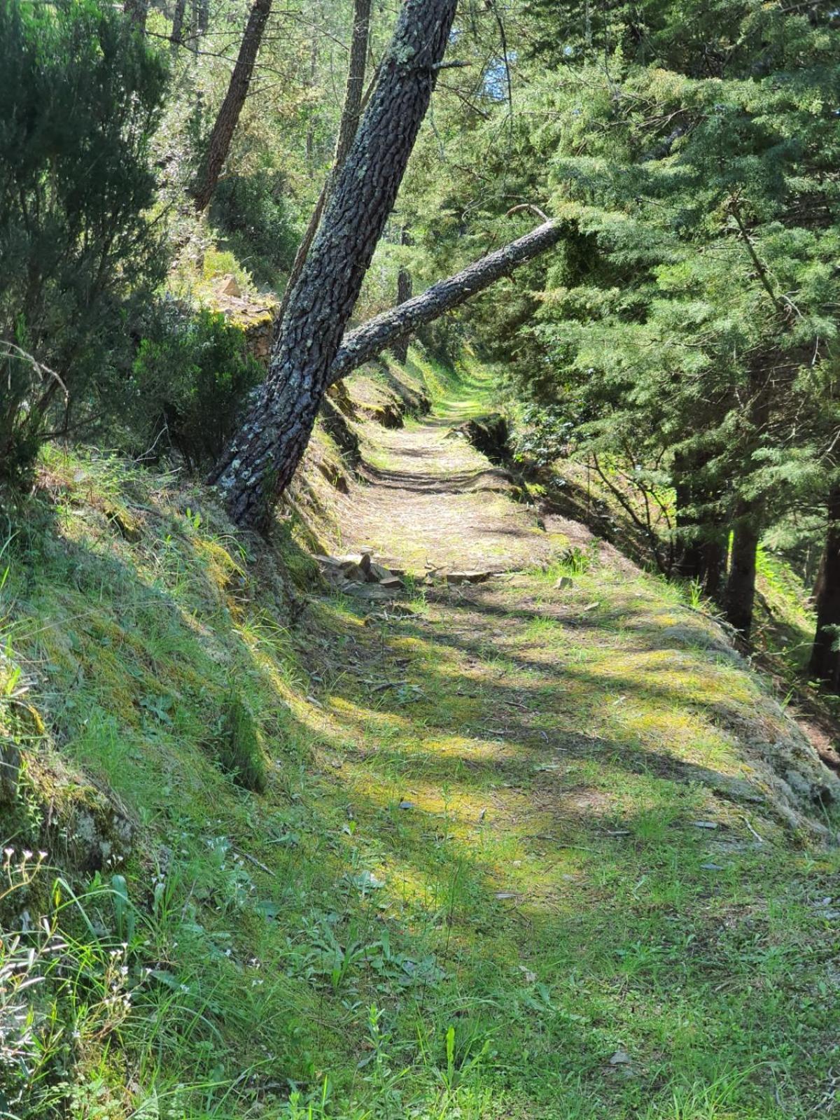 Quinta Dos Avos Lourenco Sertã Dış mekan fotoğraf